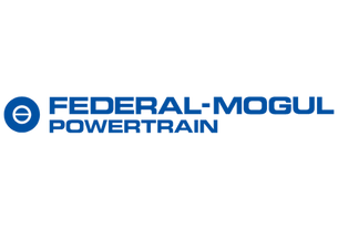 federal mogul 2